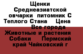 Щенки Среднеазиатской овчарки (питомник С Теплого Стана) › Цена ­ 20 000 - Все города Животные и растения » Собаки   . Пермский край,Чайковский г.